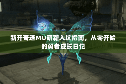 新开奇迹MU萌新入坑指南，从零开始的勇者成长日记
