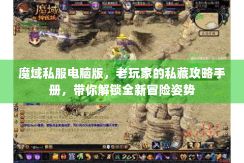 魔域私服电脑版，老玩家的私藏攻略手册，带你解锁全新冒险姿势