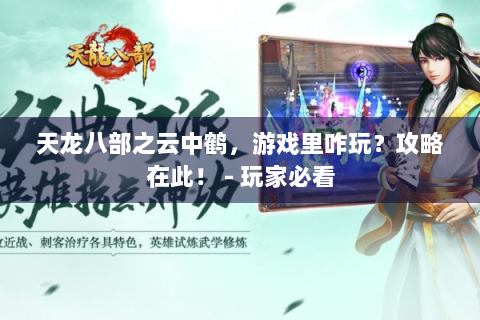 天龙八部之云中鹤，游戏里咋玩？攻略在此！ - 玩家必看