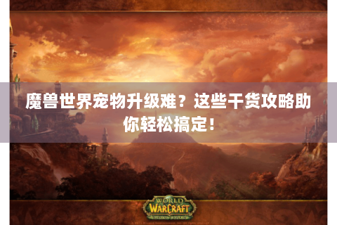 魔兽世界宠物升级难？这些干货攻略助你轻松搞定！