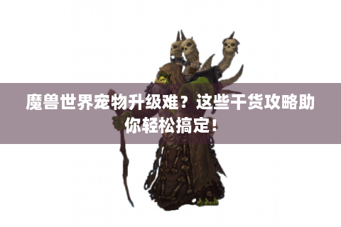 魔兽世界宠物升级难？这些干货攻略助你轻松搞定！