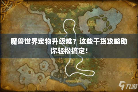 魔兽世界宠物升级难？这些干货攻略助你轻松搞定！