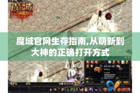 魔域官网生存指南,从萌新到大神的正确打开方式