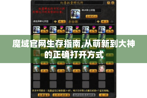 魔域官网生存指南,从萌新到大神的正确打开方式