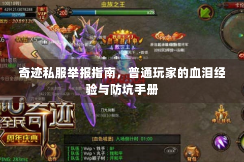 奇迹私服举报指南，普通玩家的血泪经验与防坑手册