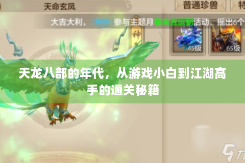 天龙八部的年代，从游戏小白到江湖高手的通关秘籍