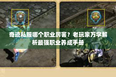 奇迹私服哪个职业厉害？老玩家万字解析最强职业养成手册