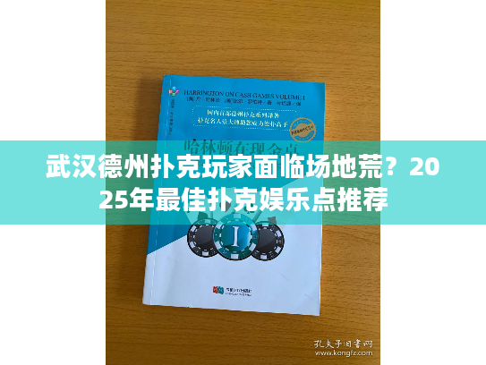 武汉德州扑克玩家面临场地荒？2025年最佳扑克娱乐点推荐