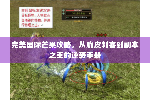 完美国际芒果攻略，从脆皮刺客到副本之王的逆袭手册
