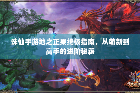 诛仙手游地之正果终极指南，从萌新到高手的进阶秘籍