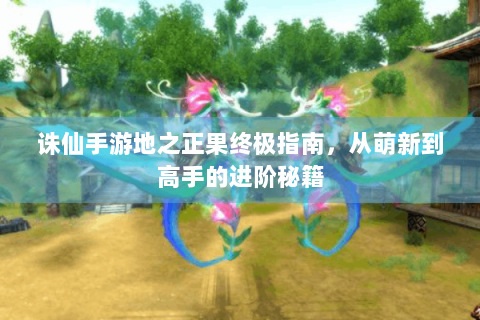 诛仙手游地之正果终极指南，从萌新到高手的进阶秘籍