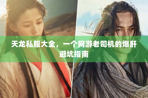 天龙私服大全，一个网游老司机的爆肝避坑指南