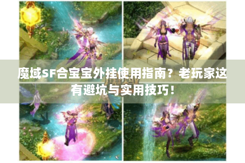 魔域SF合宝宝外挂使用指南？老玩家这有避坑与实用技巧！