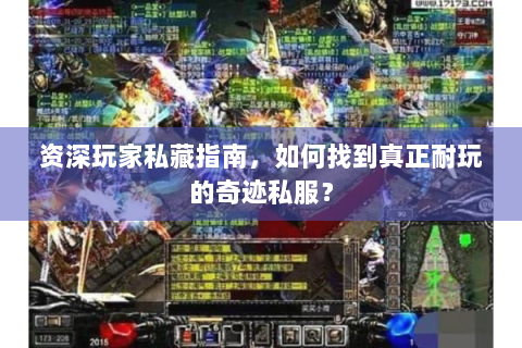 资深玩家私藏指南，如何找到真正耐玩的奇迹私服？