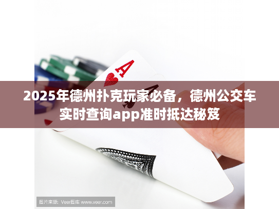 2025年德州扑克玩家必备，德州公交车实时查询app准时抵达秘笈