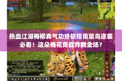 热血江湖梅柳真气功终极指南菜鸟逆袭必看！这朵梅花竟能炸翻全场？