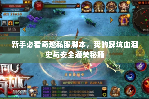 新手必看奇迹私服脚本，我的踩坑血泪史与安全通关秘籍