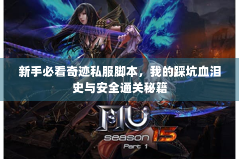 新手必看奇迹私服脚本，我的踩坑血泪史与安全通关秘籍