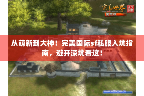 从萌新到大神！完美国际sf私服入坑指南，避开深坑看这！