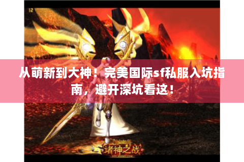 从萌新到大神！完美国际sf私服入坑指南，避开深坑看这！
