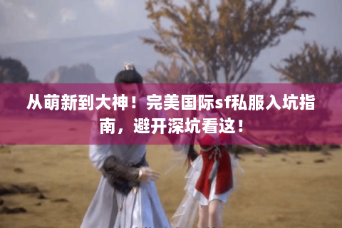 从萌新到大神！完美国际sf私服入坑指南，避开深坑看这！