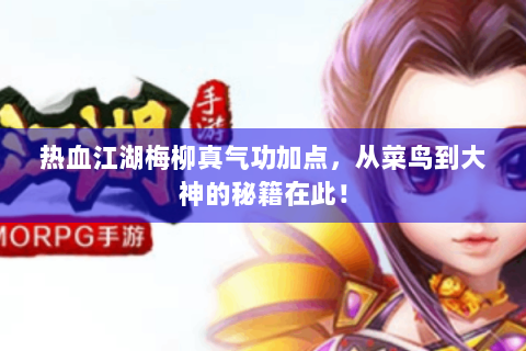 热血江湖梅柳真气功加点，从菜鸟到大神的秘籍在此！