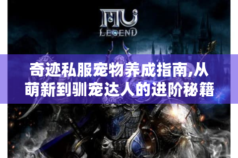 奇迹私服宠物养成指南,从萌新到驯宠达人的进阶秘籍