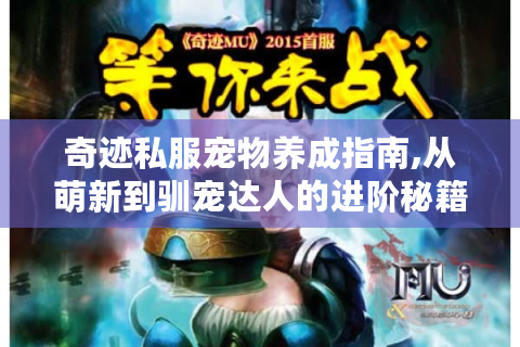 奇迹私服宠物养成指南,从萌新到驯宠达人的进阶秘籍