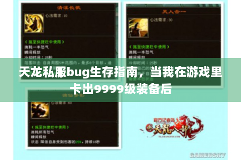 天龙私服bug生存指南，当我在游戏里卡出9999级装备后