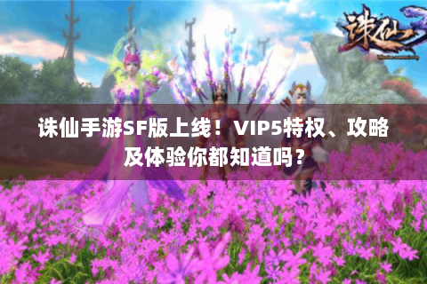 诛仙手游SF版上线！VIP5特权、攻略及体验你都知道吗？