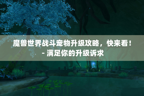 魔兽世界战斗宠物升级攻略，快来看！ - 满足你的升级诉求