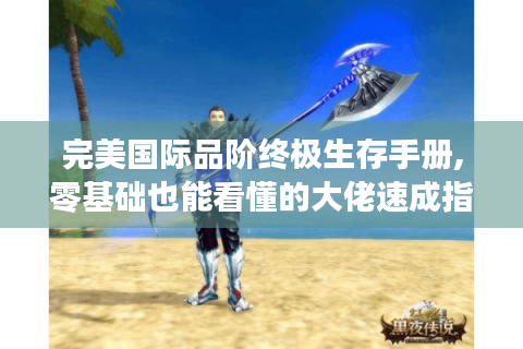 完美国际品阶终极生存手册,零基础也能看懂的大佬速成指南