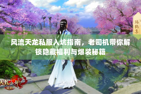 风流天龙私服入坑指南，老司机带你解锁隐藏福利与爆装秘籍