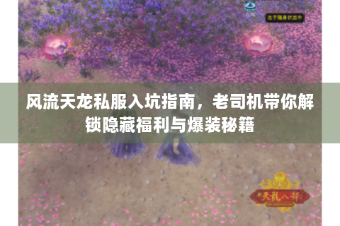 风流天龙私服入坑指南，老司机带你解锁隐藏福利与爆装秘籍