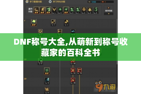 DNF称号大全,从萌新到称号收藏家的百科全书
