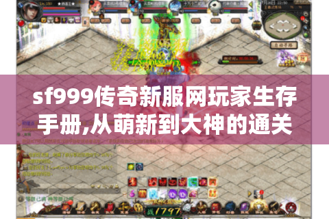 sf999传奇新服网玩家生存手册,从萌新到大神的通关秘籍