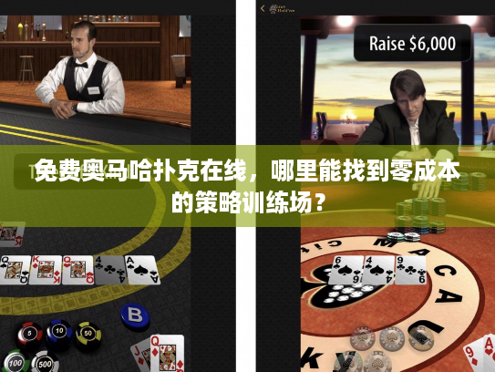 免费奥马哈扑克在线，哪里能找到零成本的策略训练场？