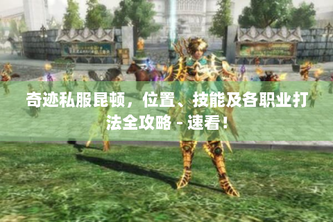 奇迹私服昆顿，位置、技能及各职业打法全攻略 - 速看！