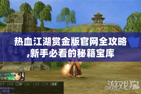 热血江湖赏金版官网全攻略,新手必看的秘籍宝库