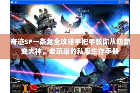 奇迹SF一条龙全攻略手把手教你从萌新变大神，老玩家的私服生存手册