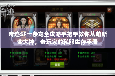 奇迹SF一条龙全攻略手把手教你从萌新变大神，老玩家的私服生存手册