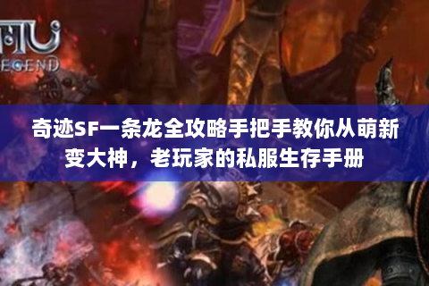 奇迹SF一条龙全攻略手把手教你从萌新变大神，老玩家的私服生存手册