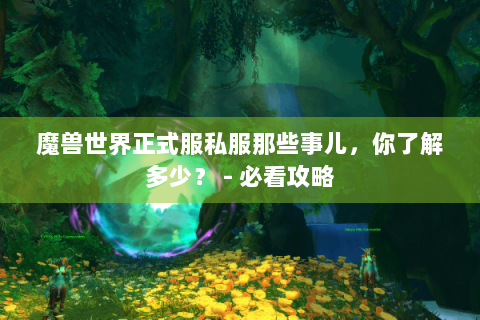 魔兽世界正式服私服那些事儿，你了解多少？ - 必看攻略