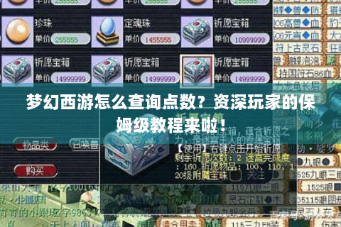 梦幻西游怎么查询点数？资深玩家的保姆级教程来啦！