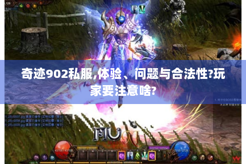 奇迹902私服,体验、问题与合法性?玩家要注意啥?