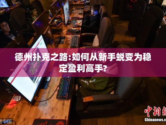德州扑克之路:如何从新手蜕变为稳定盈利高手?