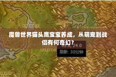 魔兽世界猫头鹰宝宝养成，从萌宠到战侣有何奇幻？