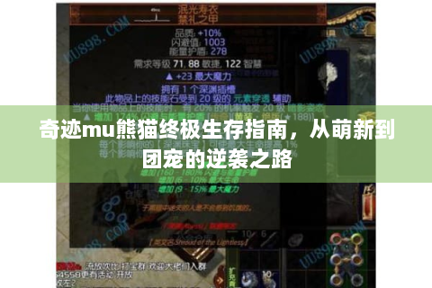 奇迹mu熊猫终极生存指南，从萌新到团宠的逆袭之路