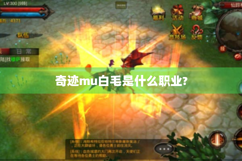 奇迹mu白毛是什么职业?