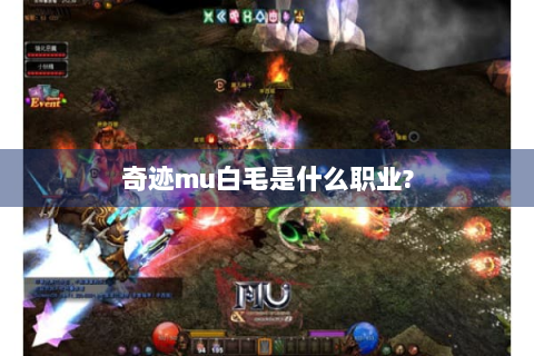 奇迹mu白毛是什么职业?